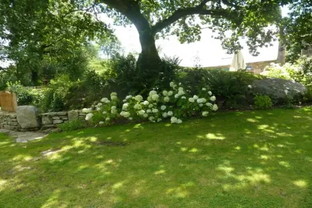 Maison bretonne du 17e siècle à Huelgoat : photo 29
