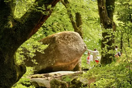 Maison bretonne du 17e siècle à Huelgoat : photo 32