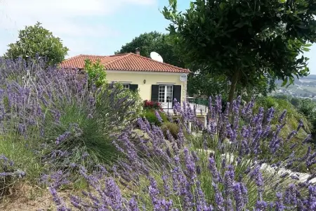 Casa do Coqueiro – Villa 8 pers. avec piscine privée : photo 32
