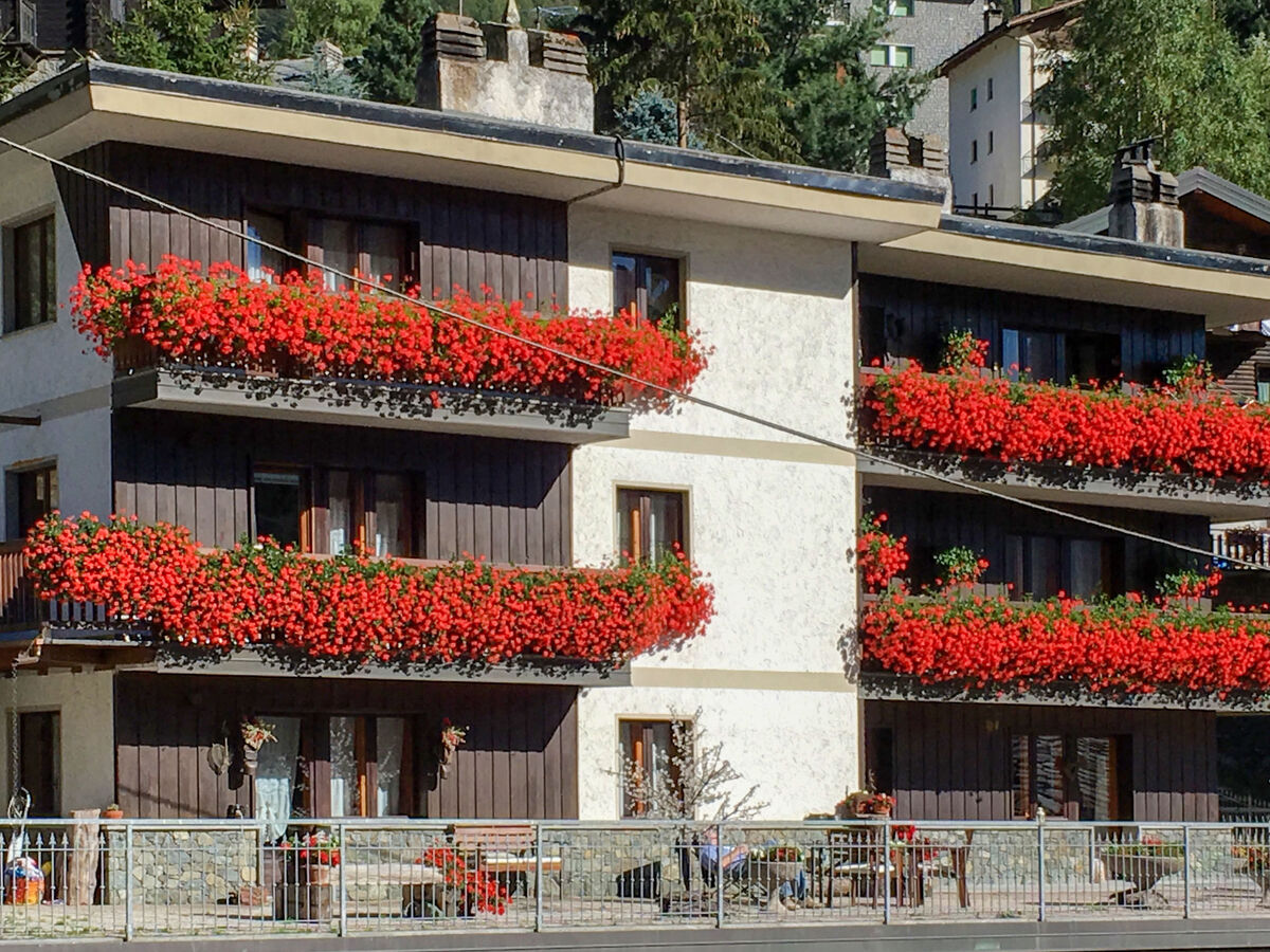 La Tata - Appartement 50 m² à Valtournenche - Photo 1