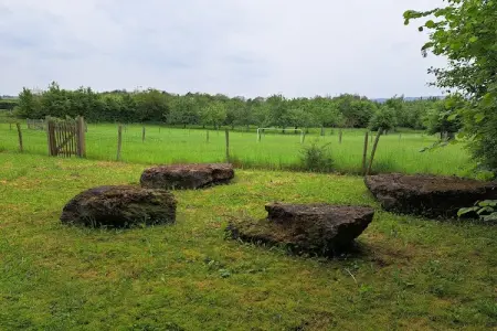 Alatienne, maison 7 pers. avec vue sur les champs : photo 35