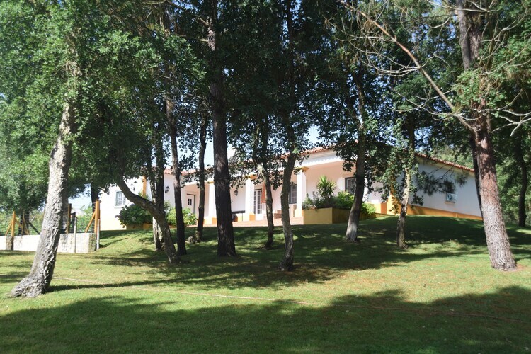 Villa Vinha da Mata - 5 chambres, piscine privée - Photo 33