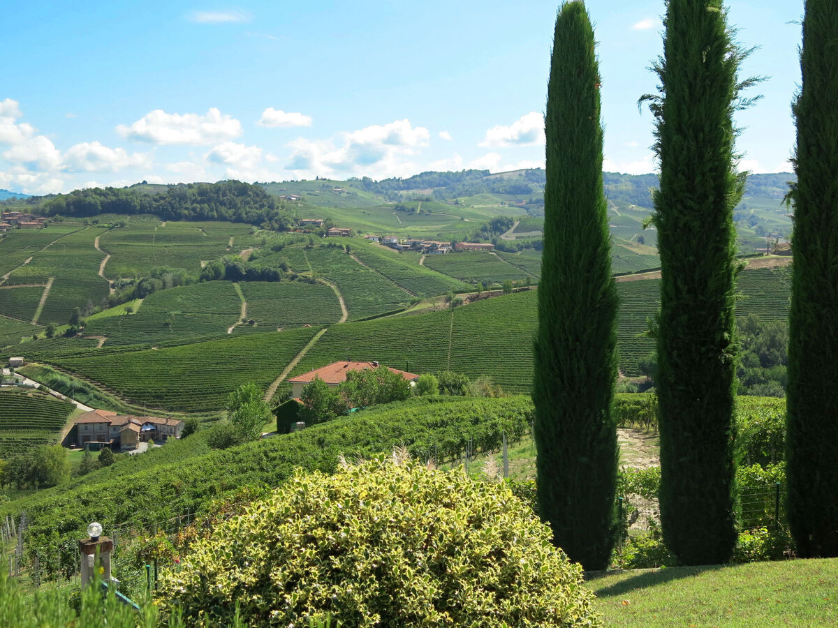 Maison Baroncelli à Barolo, vue sur le château - Photo 30