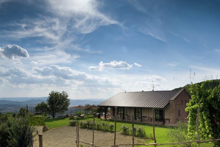 Villa Leo : demeure toscane 12 pers. vignoble bio - Photo 30