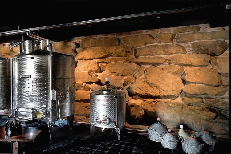 Villa Leo : demeure toscane 12 pers. vignoble bio - Photo 35
