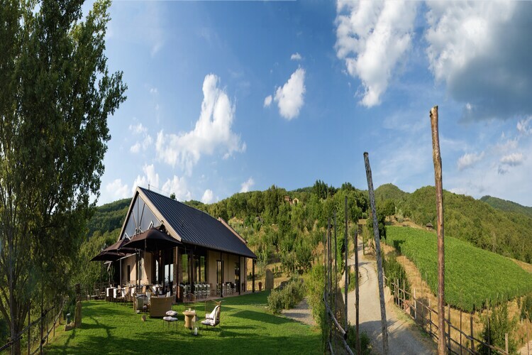 Villa Leo : demeure toscane 12 pers. vignoble bio - Photo 36