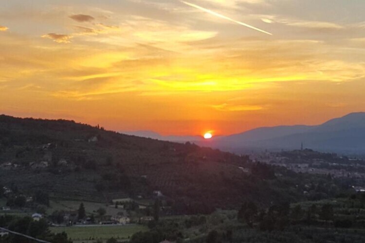 Villa Leo : demeure toscane 12 pers. vignoble bio - Photo 37