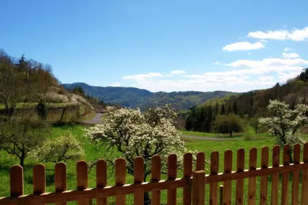 Le Verdier : maison 4 chambres, jardin et terrasse : photo 3
