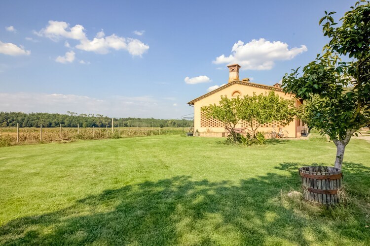 Lenze, maison de ferme toscane avec animaux à Staffoli - Photo 27
