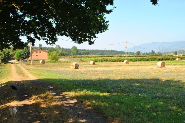 Lenze, maison de ferme toscane avec animaux à Staffoli - Photo 33