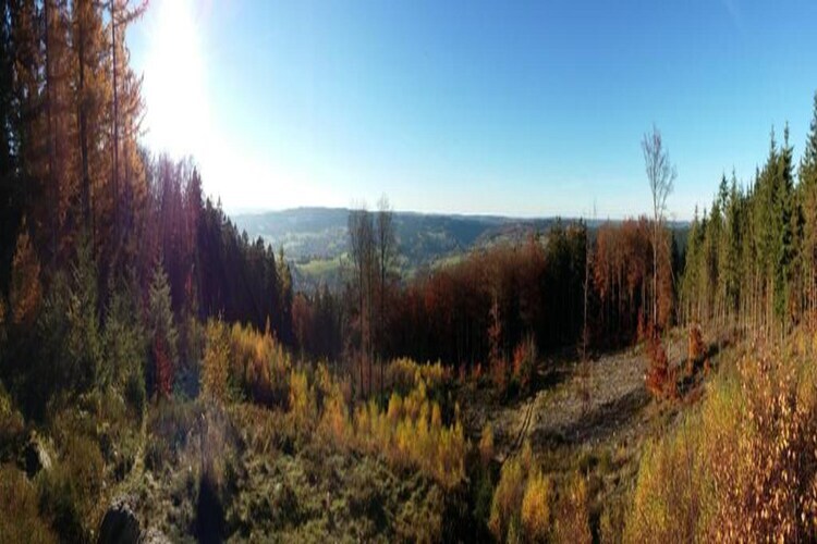 Les Bouleaux - Chalet 5 pers. en Ardenne - Photo 37