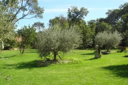 Résidence le Maquis Plage Type 1, Villa à Poggio-Mezzana près de la mer - Photo 11