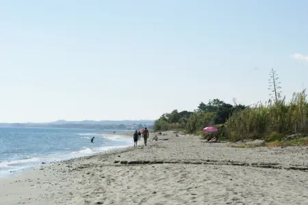 Résidence le Maquis Plage Type 1, Villa à Poggio-Mezzana près de la mer - Photo 18