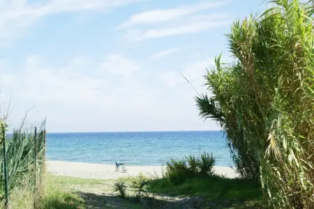 Résidence le Maquis Plage Type 1, Villa à Poggio-Mezzana près de la mer - Photo 19