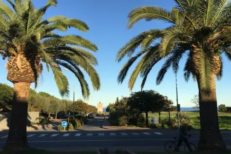 Résidence le Maquis Plage Type 1, Villa à Poggio-Mezzana près de la mer - Photo 21