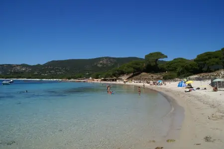 Résidence le Maquis Plage Type 1, Villa à Poggio-Mezzana près de la mer - Photo 24