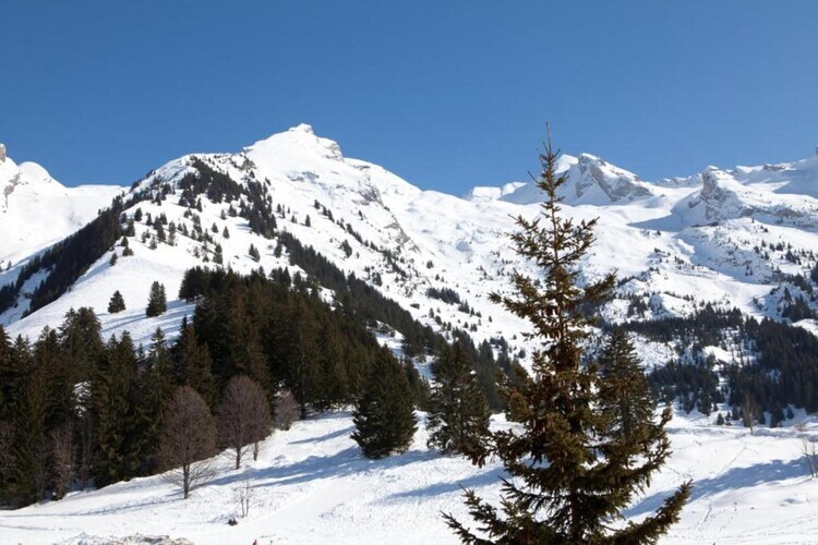 Résidence Prestige Mendi Alde 3, maison La Clusaz - Photo 29