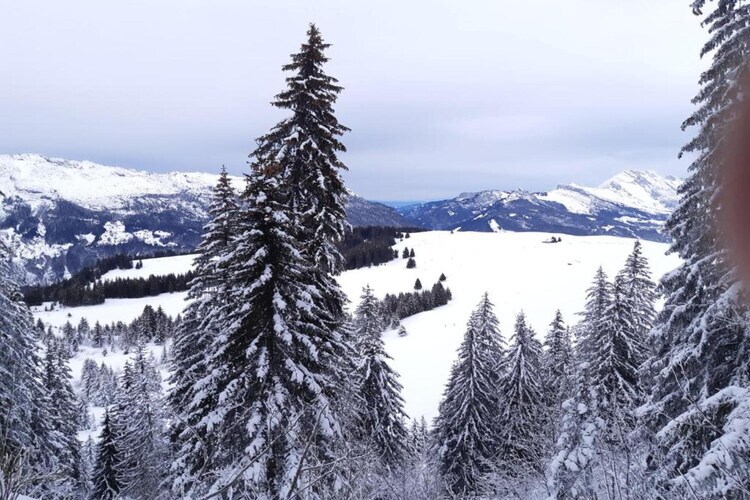 Résidence Prestige Mendi Alde 3, maison La Clusaz - Photo 35