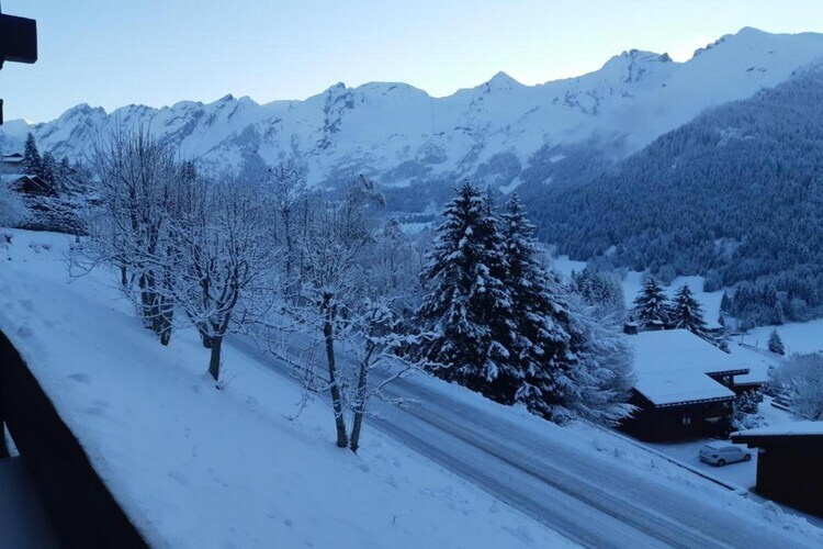 Résidence Prestige Mendi Alde 3, maison La Clusaz - Photo 39
