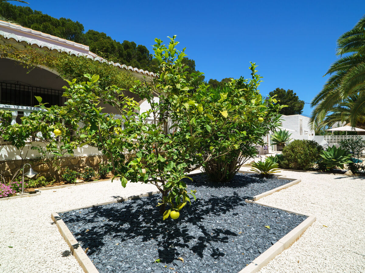 Villa El Palmeral – 280 m² avec piscine à Javea - Photo 33