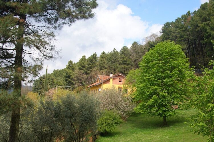 Maison Nelverde 12 : piscine privée et vue sur Pescia - Photo 4