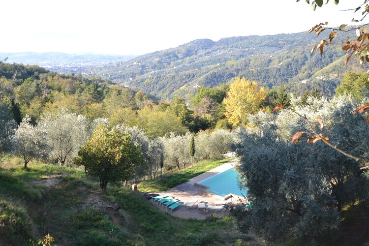 Maison Nelverde 12 : piscine privée et vue sur Pescia - Photo 7