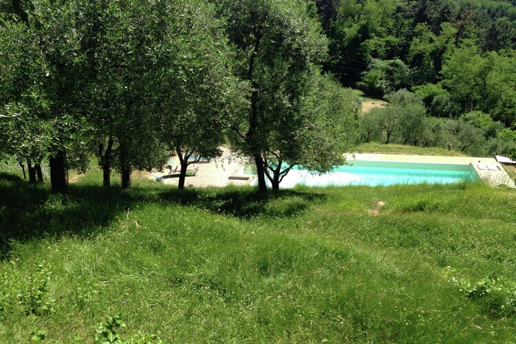 Maison Nelverde 12 : piscine privée et vue sur Pescia - Photo 8