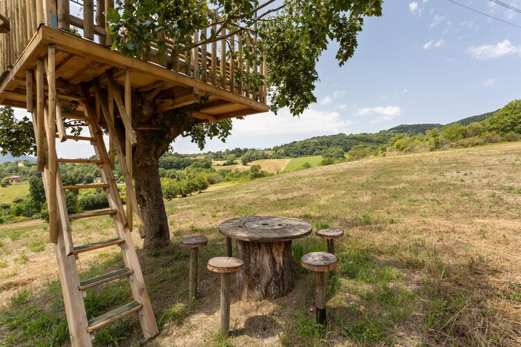Maison Lucia à Assisi : agriturismo avec piscine et vue vallonnée - Photo 33
