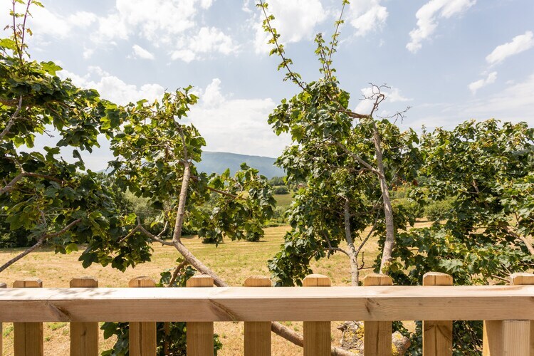 Maison Lucia à Assisi : agriturismo avec piscine et vue vallonnée - Photo 36