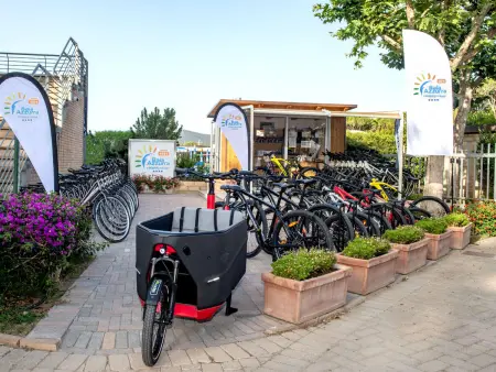 Bungalow Trendy, Maison 4 personnes à Castiglione della Pescaia - Photo 10