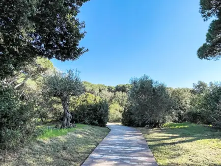 Bungalow Trendy, Maison 4 personnes à Castiglione della Pescaia - Photo 27