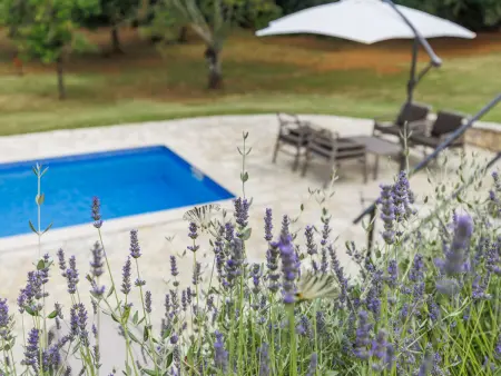 Maison Green avec piscine privée à Labin : photo 33