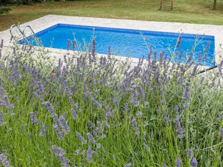 Maison Green avec piscine privée à Labin : photo 34