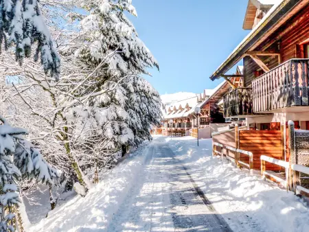 Apt 2 pièces Le Bois de la Reine, Super Besse - Photo 37