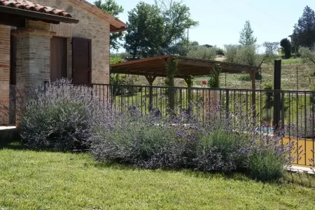 Villa Due Olive, Villa luxueuse à Vasciano avec piscine privée - Photo 36