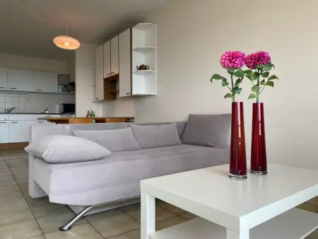 Appartement Astrid 801 avec balcon et vue mer à Bredene : photo 12