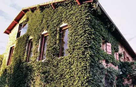 Maison 8 personnes à Thizy les Bourgs - Photo 11