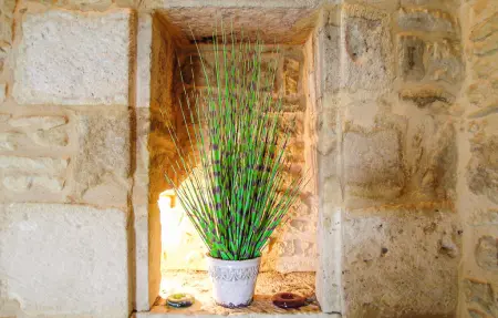 Maison 4 personnes à St Amand de Coly - Photo 18