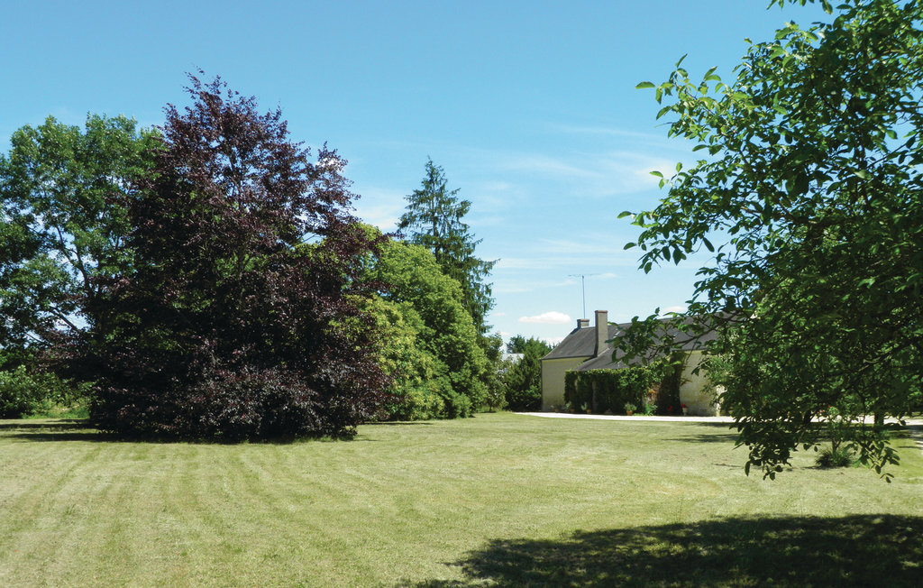 Maison 4 chambres avec piscine à Bourgueil - Photo 12