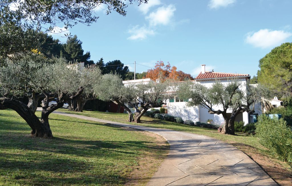 Maison 6 pers. dans oliveraie centenaire à Toulon - Photo 6