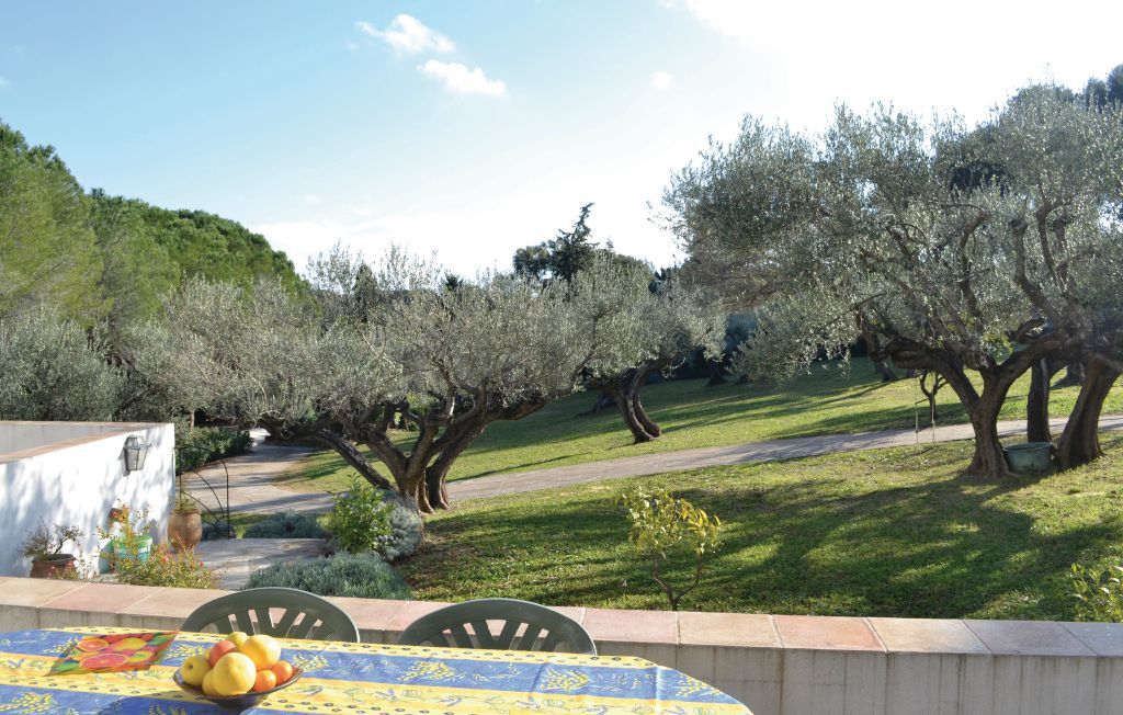 Maison 6 pers. dans oliveraie centenaire à Toulon - Photo 9