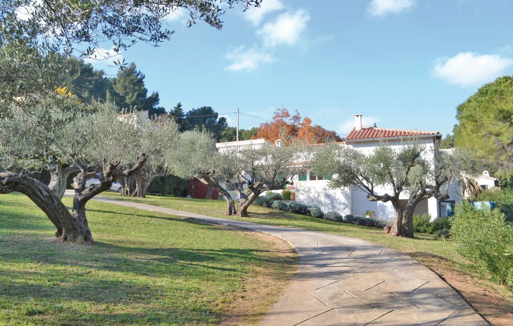 Maison 6 pers. dans oliveraie centenaire à Toulon - Photo 45