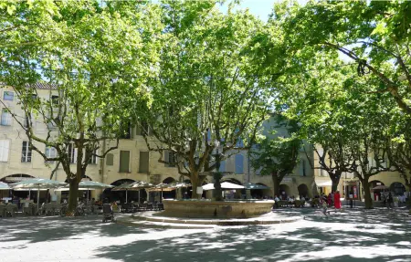 Ancienne bergerie avec piscine privée à Fontarèches : photo 32