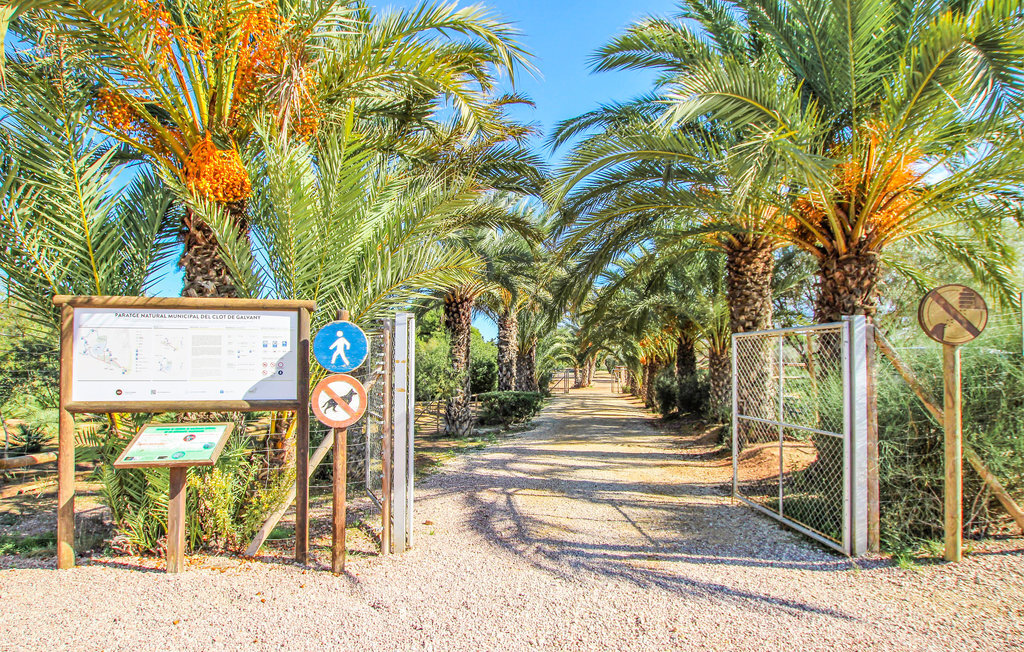 Avenida Costa Blanca, Appartement 4 personnes à Arenales del Sol - Photo 34