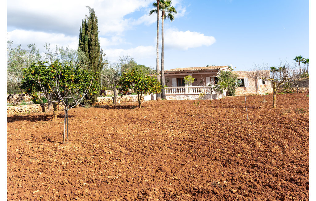 Finca en pierre avec piscine à S'Alqueria Blanca - Photo 11