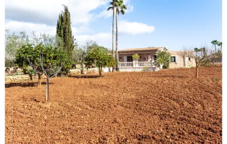 Finca en pierre avec piscine à S'Alqueria Blanca : photo 11