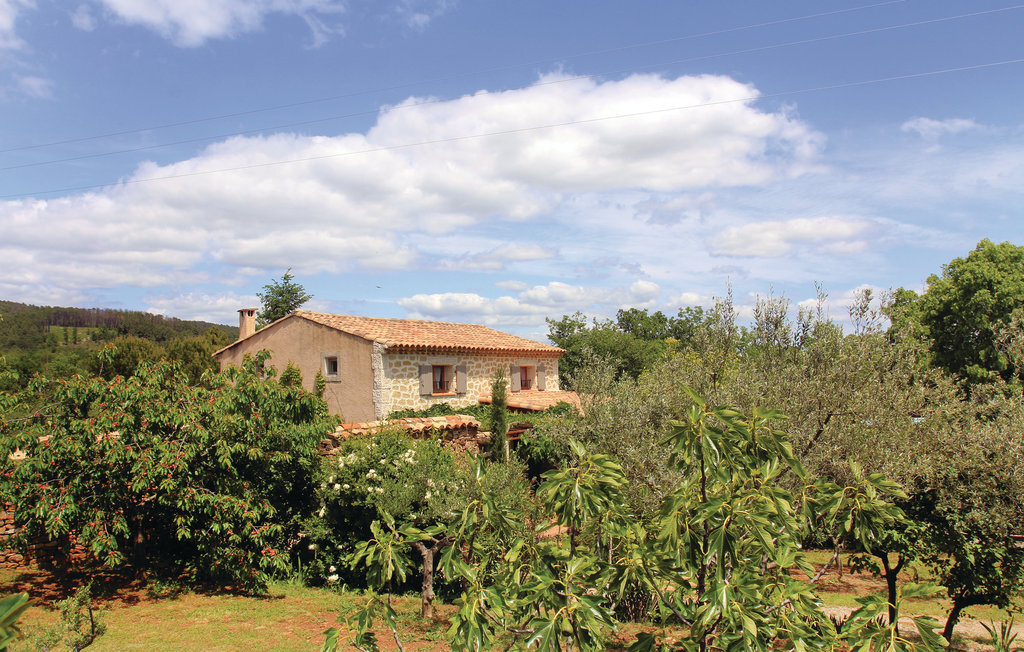 Les Oliviers : maison 6 pers., piscine chauffée, 3800 m² - Photo 14