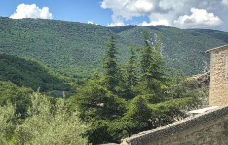 Maison en pierre du XIIe siècle à Bonnieux : photo 19