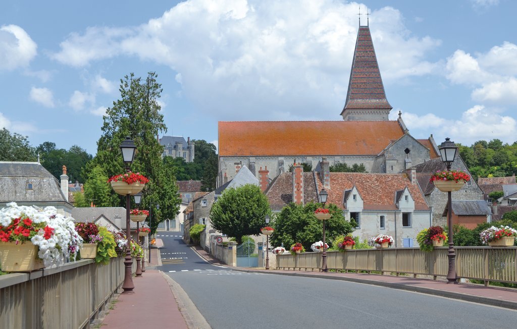 Maison XVIIIe siècle avec jacuzzi à Preuilly-sur-Claise - Photo 22