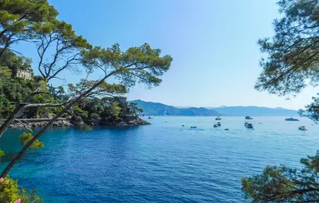 Mimosa - Appartement avec piscine à Rapallo : photo 30